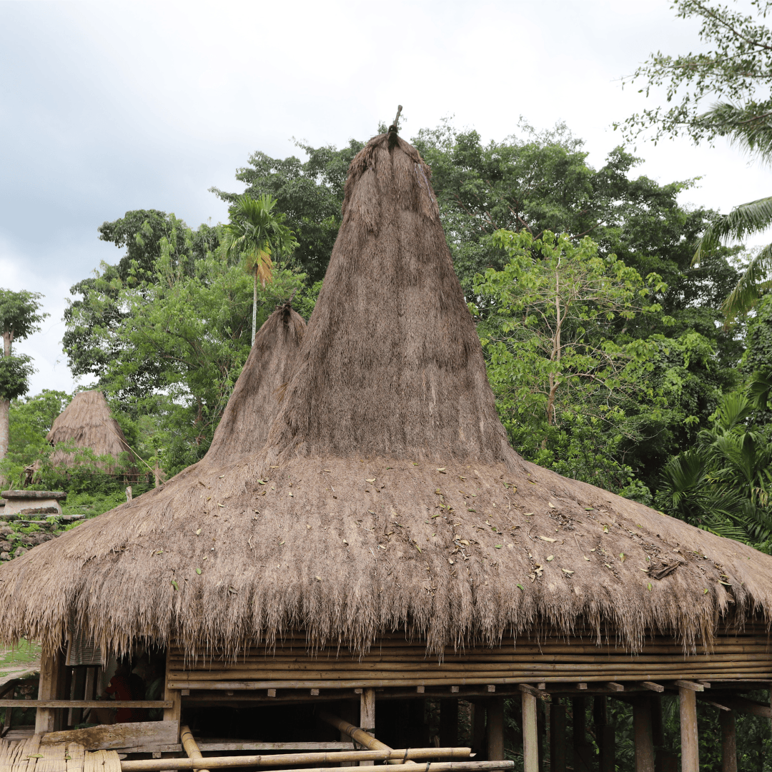 Galeri Kampung Deri Kambajawa - Gambar 2